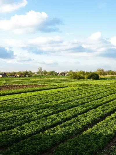 Agriculture & Fertilizers — Blue Line Industries UAE