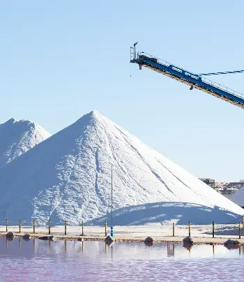 Food Industry — Blue Line Industries UAE